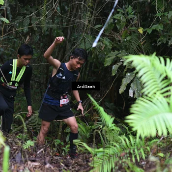 Runner Photo 8558351