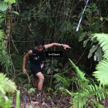 Runner Photo 8558352