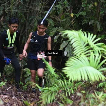 Runner Photo 8558355