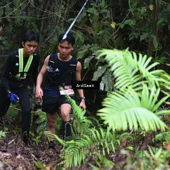 Runner Photo 8558357