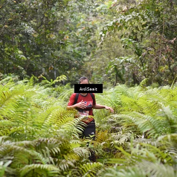 Runner Photo 8558400