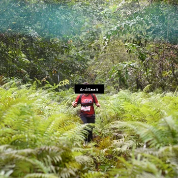 Runner Photo 8558409