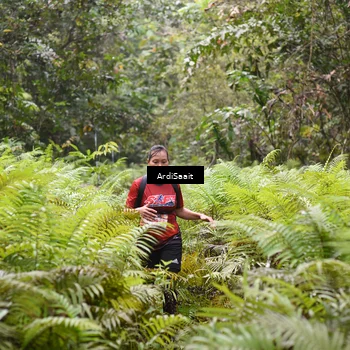 Runner Photo 8558432