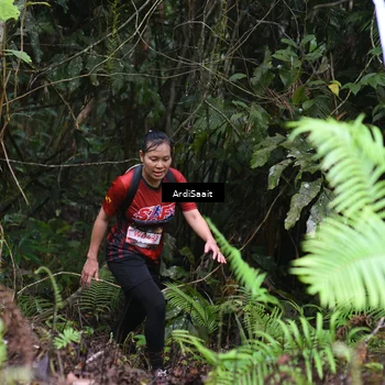 Runner Photo 8558457