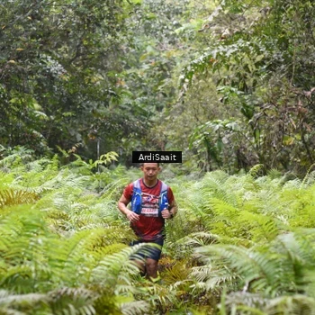 Runner Photo 8558485