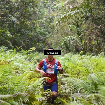 Runner Photo 8558499