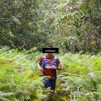 Runner Photo 8558501