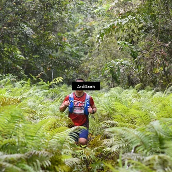 Runner Photo 8558504
