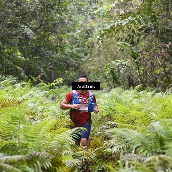 Runner Photo 8558509