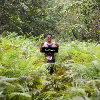 Runner Photo 8558567