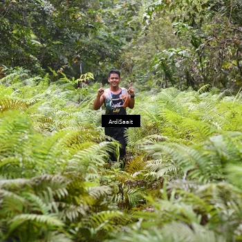 Runner Photo 8558568