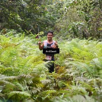 Runner Photo 8558577