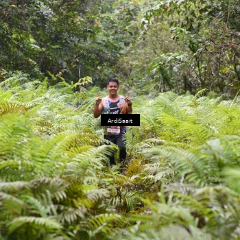 Runner Photo 8558596