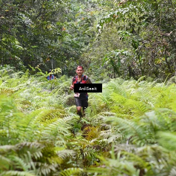 Runner Photo 8558606
