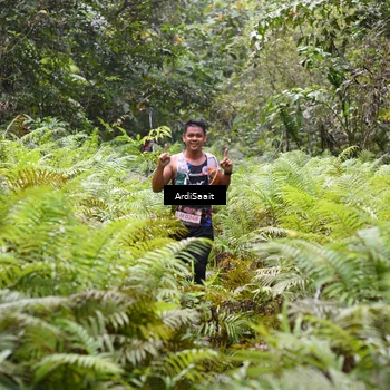 Runner Photo 8558607