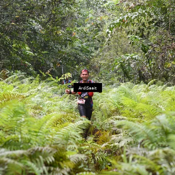 Runner Photo 8558613