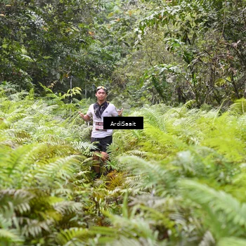 Runner Photo 8558718