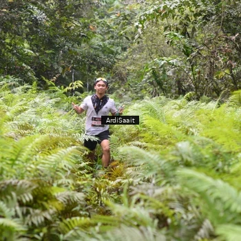 Runner Photo 8558766