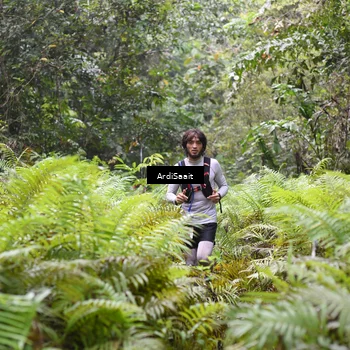 Runner Photo 8558836