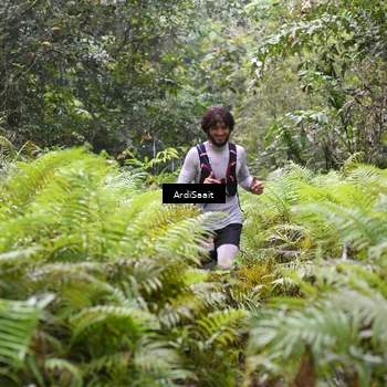 Runner Photo 8558845