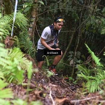 Runner Photo 8558858