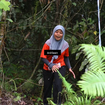 Runner Photo 8559032