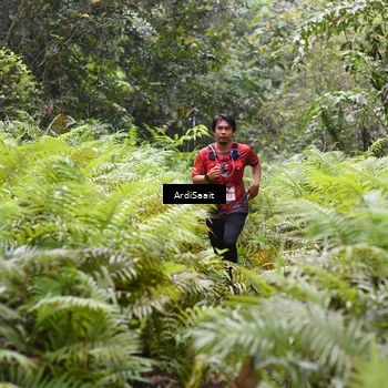 Runner Photo 8559040
