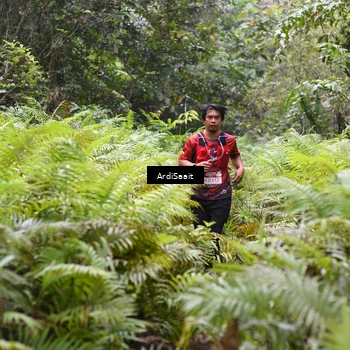 Runner Photo 8559056