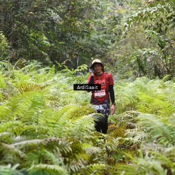 Runner Photo 8559083