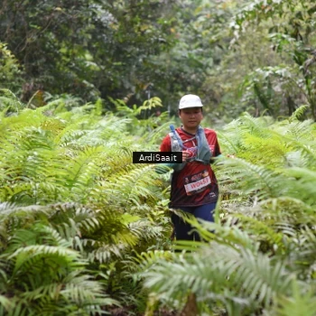 Runner Photo 8559172