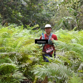 Runner Photo 8559179
