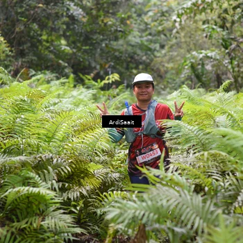 Runner Photo 8559184