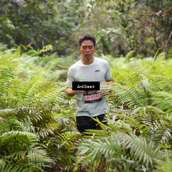 Runner Photo 8559391