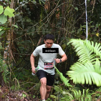 Runner Photo 8559458