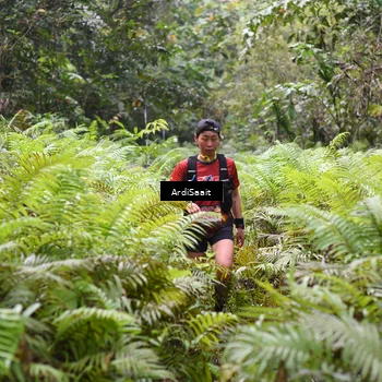 Runner Photo 8559526