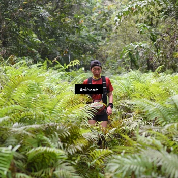 Runner Photo 8559531