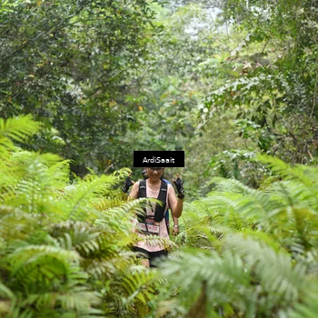 Runner Photo 8561455