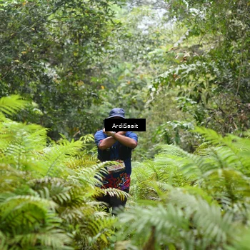 Runner Photo 8561505