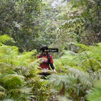 Runner Photo 8561652
