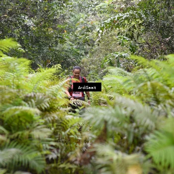Runner Photo 8561766