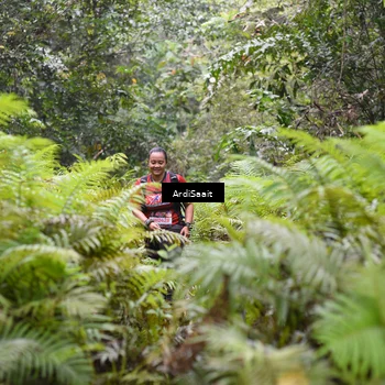 Runner Photo 8561767