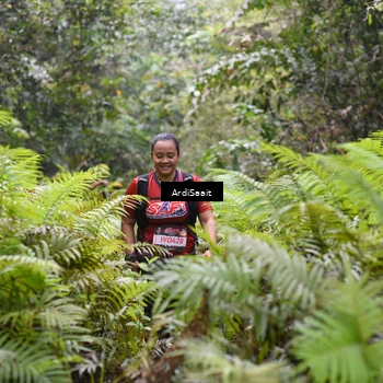 Runner Photo 8561770