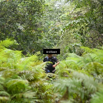 Runner Photo 8561826