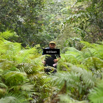 Runner Photo 8561840