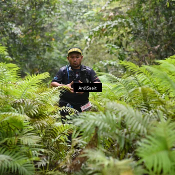 Runner Photo 8561854