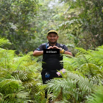 Runner Photo 8561874