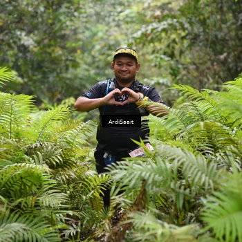 Runner Photo 8561892