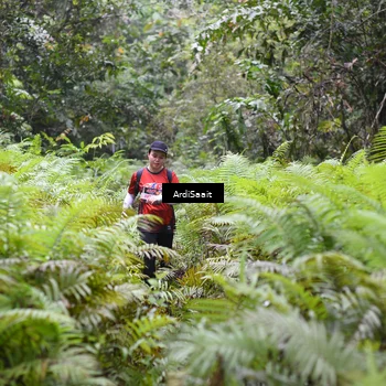 Runner Photo 8562018