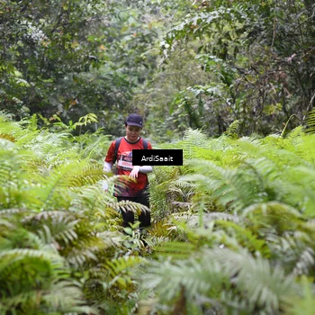 Runner Photo 8562021