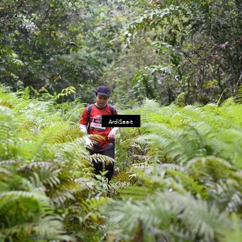 Runner Photo 8562036